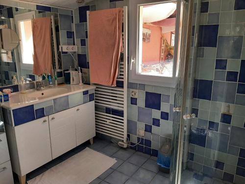 une salle de bain avec un lavabo et une douche dans l'établissement Grande maison familiale avec piscine et varangue à Tarnos, proche plages et commerces - FR-1-239-779, à Tarnos