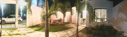 a group of palm trees in front of a building at Casa Lina in Valladolid