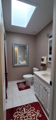 a bathroom with a toilet and a sink and a mirror at Niagara Falls Villa with Private pool, hottub, water view and Breakfast in Niagara Falls