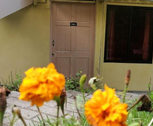 una porta con fiori gialli di fronte a un edificio di Hotel Cotobruseño 