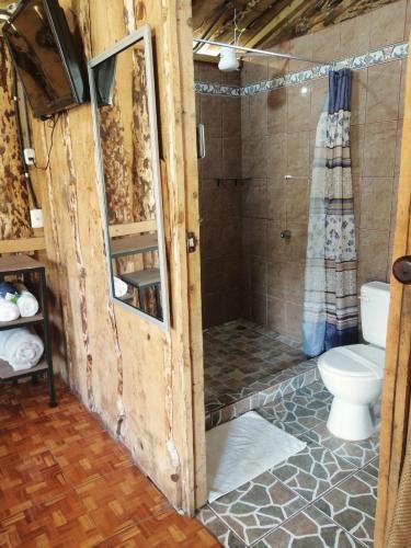 a bathroom with a shower and a toilet at Hotel Cotobruseño in San Francisco