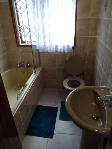 a bathroom with a toilet and a tub and a sink at Ocean View Guest House in Port St Johns