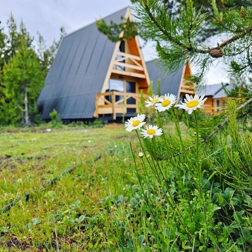 Zahrada ubytování Cabañas Entre Cumbres