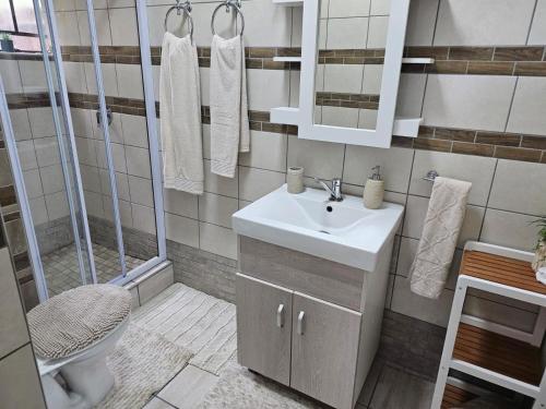 a bathroom with a sink and a shower and a toilet at Déjàvu at the Bay in Richards Bay