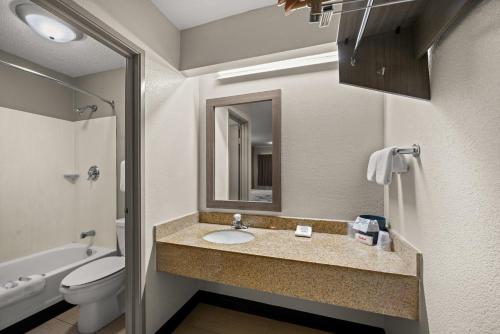 a bathroom with a sink and a toilet at Red Roof Inn Detroit - Royal Oak/Madison Heights in Madison Heights