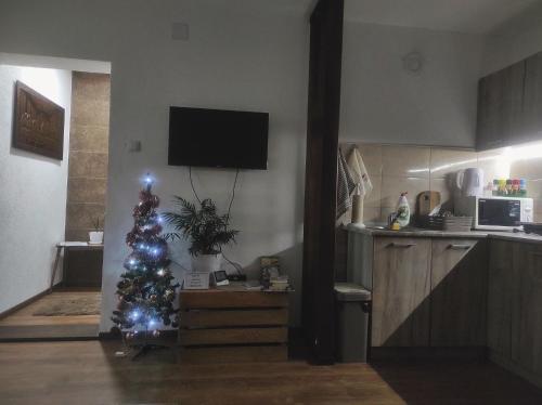 una sala de estar con un árbol de Navidad en la cocina en Petrović Apartman, en Vrnjačka Banja