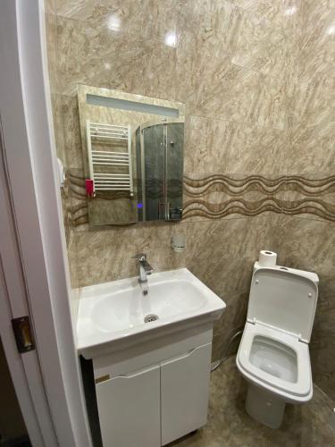 ein Badezimmer mit einem Waschbecken, einem WC und einem Spiegel in der Unterkunft Nodar Bokhua st.10 in Tbilisi City