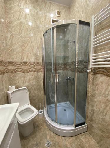 ein Bad mit einer Dusche und einem WC in der Unterkunft Nodar Bokhua st.10 in Tbilisi City