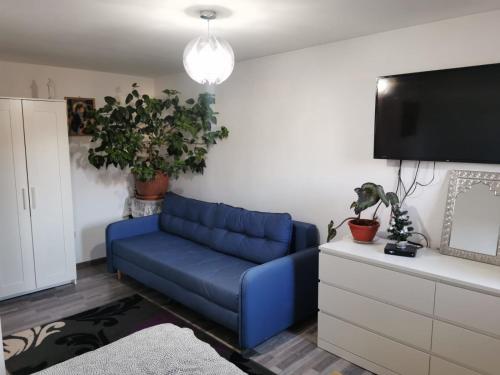 ein blaues Sofa im Wohnzimmer mit einem TV in der Unterkunft Casa în regim hotelier in Dofteana