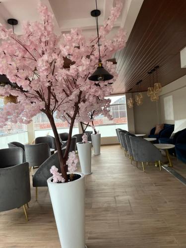 a tree with pink flowers in a room with chairs at EL ALAMO, EJECUTIVO Y SPA in Cusco