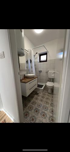 a bathroom with a toilet and a sink and a toilet istg at Kuća za odmor Sedra - jacuzzi & sauna in Hrvatska Kostajnica