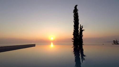 a silhouette of a tree in front of a sunset at Thelxi's Suite I - Brand New Seaview Suite! in Agios Nikolaos
