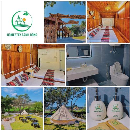 eine Collage mit Bildern eines Safarizelts in der Unterkunft Homestay Cánh Đồng - Lều Camping & Coffee in Mộc Châu