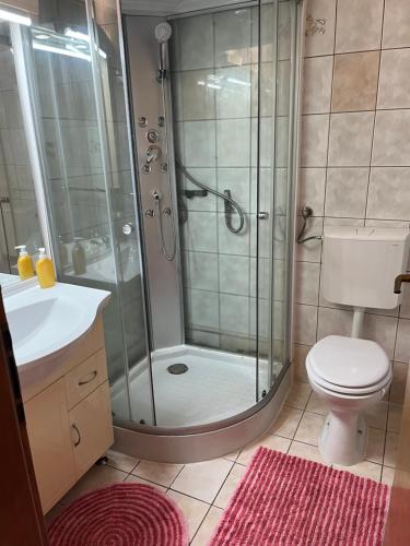 een badkamer met een douche, een toilet en een wastafel bij pansion Lea in Pernica