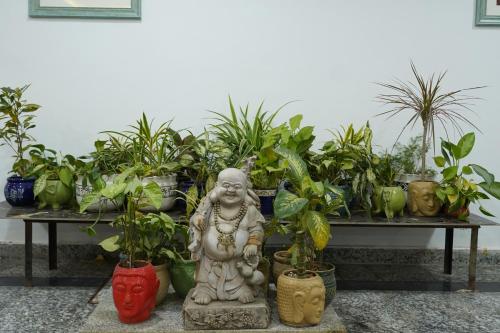 Κήπος έξω από το Posh Garden Inn Artemis Hospital Road Gurgaon