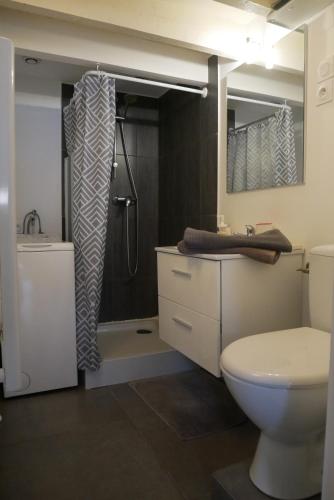 a bathroom with a toilet and a shower at Studio du Pouverel in La Garde