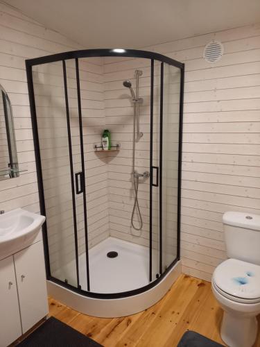 a shower stall in a bathroom with a toilet at Namelis Drevernoje in Dreverna