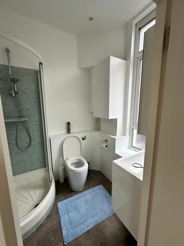 uma casa de banho com um WC, um chuveiro e um lavatório. em Cosy one bedroom flat em Londres