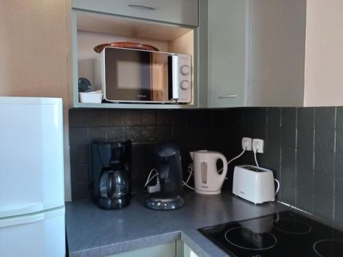 a kitchen with a counter top with a microwave at Chalet 6 personnes Super Dévoluy in Superdevoluy