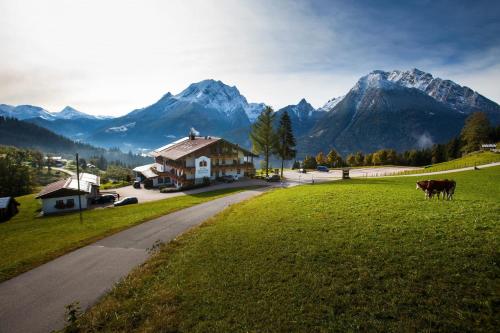 Eine Kuh steht auf einem Feld mit Bergen im Hintergrund in der Unterkunft Hotel-Gasthof Nutzkaser in Ramsau bei Berchtesgaden