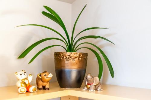 ノーヴァ・レヴァンテにあるResidence Engelのギャラリーの写真
