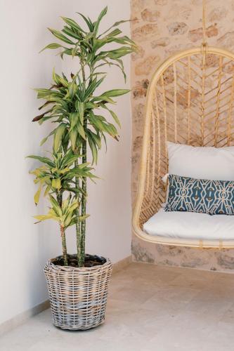 a palm plant in a wicker basket next to a bed at Can Pep Gibert in Ibiza Town