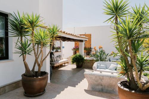 a patio with palm trees and a couch at Can Pep Gibert in Ibiza Town