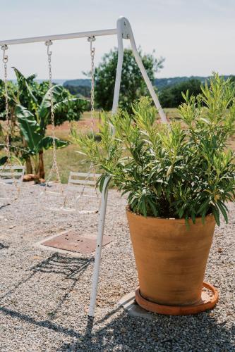 a plant in a pot next to a swing at Can Pep Gibert in Ibiza Town