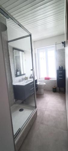 une salle de bain avec une douche, un lavabo et des toilettes dans l'établissement l'étoile, le duplex, à Gravelines
