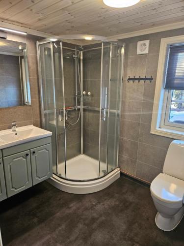 ein Bad mit einer Dusche, einem WC und einem Waschbecken in der Unterkunft Hytte i Ringsaker (Ljøsheim/Sjusjøen) in Ringsaker
