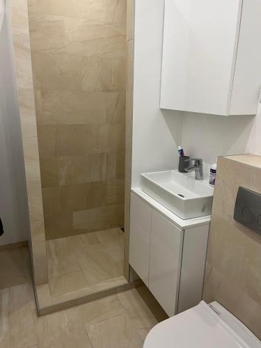 a bathroom with a toilet and a sink and a shower at Apartman Lido in Bjelašnica