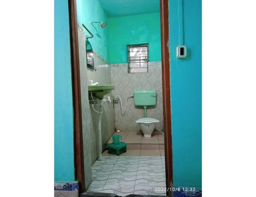 een badkamer met een groen toilet en een wastafel bij Prakrity Village Resort Sundarbans, WB in Purbbadulki