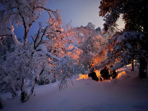 un groupe d'arbres recouvert de neige la nuit dans l'établissement Saariselällä, sielukas hirsimökki - Unique cottage, à Saariselka