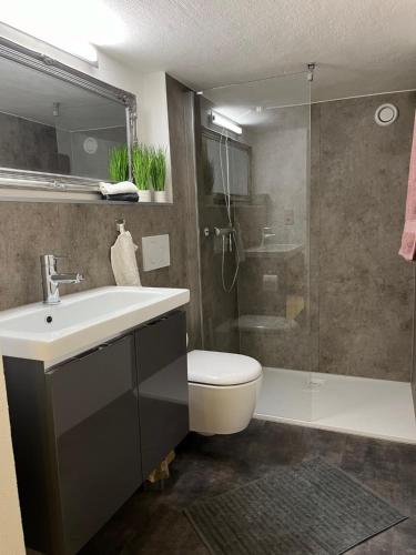 Un baño con inodoro, lavabo y ducha. en Wiesenhof, en Reith im Alpbachtal