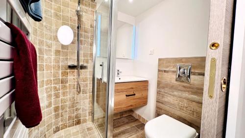 ein Bad mit einer Dusche, einem WC und einem Waschbecken in der Unterkunft Appartement complet 2 chambres in Signes
