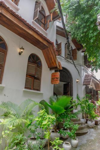 a building with a bunch of plants in front of it at Shoki Shoki Hotel Stone Town in Zanzibar City