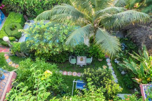 a miniature garden with a palm tree and plants at Fabuleux Studio Petit Marrakech in Dakar