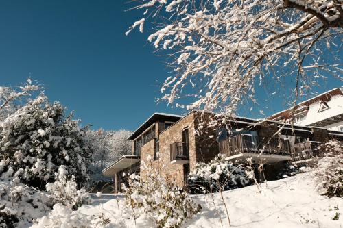 a house in the snow with snow covered trees at Hotel Lauterbad in Freudenstadt