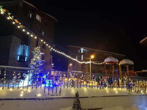 Fotografie z fotogalerie ubytování My Sweet Home in Bakuriani v destinaci Bakuriani