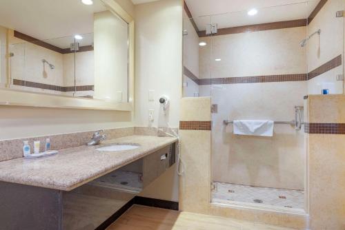 uma casa de banho com um lavatório e um chuveiro em Comfort Suites Oceanside Camp Pendleton Area em Oceanside