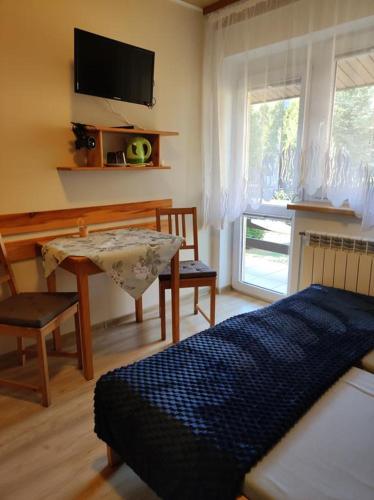 a bedroom with a bed and a desk and a television at DG EWA w Polańczyku in Polańczyk
