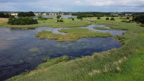 z powietrza widok na rzekę z trawą i drzewami w obiekcie Pęglity jezioro w mieście Gietrzwałd