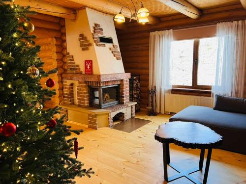 a christmas tree in a living room with a fireplace at Villa Alpiyka in Slavske