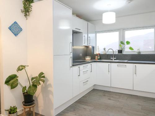 a kitchen with white cabinets and a potted plant at 22 Moray Place in Fort William