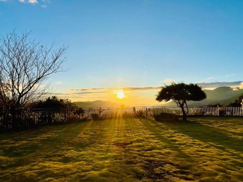a tree in a field with the sunset in the background at Junyi Landscape Villa in Renai