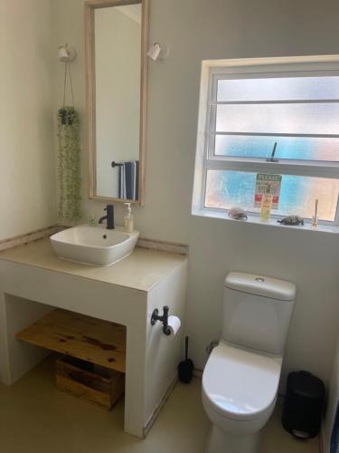 uma casa de banho com um WC, um lavatório e uma janela em Tortoise Retreat em Langebaan