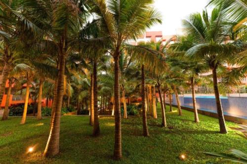 eine Gruppe von Palmen in einem Park in der Nähe des Wassers in der Unterkunft Good Stay Premium 2 BHK Apartment 103 in Vasco Da Gama