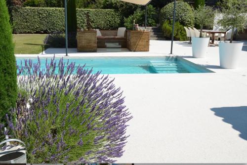 Πισίνα στο ή κοντά στο maison bertuli Oliviers Aircon, heated saltwater Pool, 2 Bedrooms