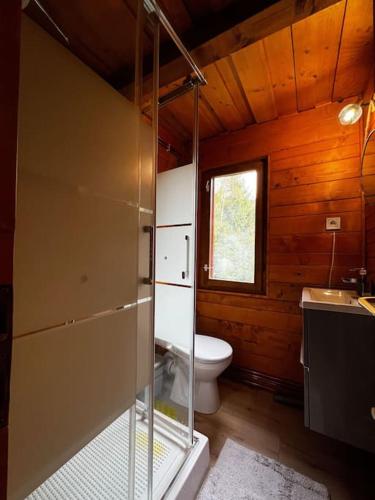 a bathroom with a toilet and a glass shower at Cabana Drăgana in Lunca Vişagului