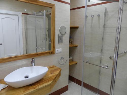 a bathroom with a sink and a shower at Casa Felicitas Medina in Medina del Campo